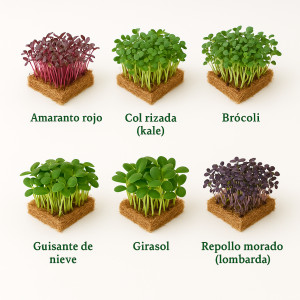imagen de mezcla dulce en coco y nombres Mezcla dulce