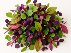 imagen mezcla picante2 Mezcla picante