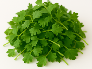 Pequebrotes de cilantro