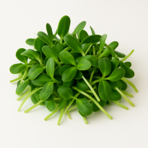 Pequebrotes de girasol