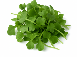 Pequebrotes de rucula