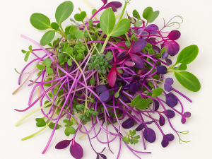 imagen pequebrotes mezcla dulce Mezcla dulce