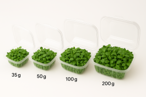 Pequebrotes de rucula