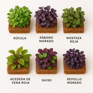 variedades mix picante en coco Mezcla picante