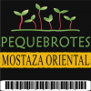 Pequebrotes de Mostaza oriental picante