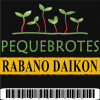 Rábano Daikon