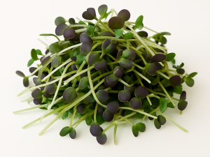 Pequebrotes de Mostaza oriental picante