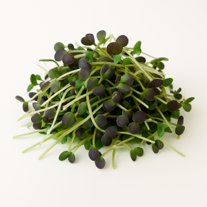 Pequebrotes de Mostaza oriental picante